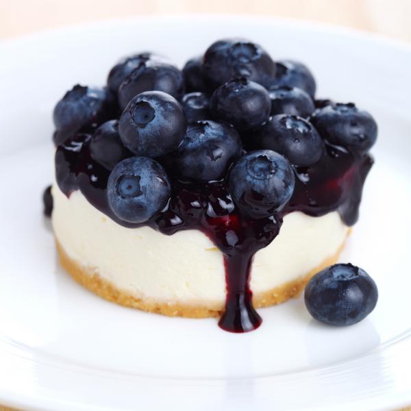 A mini cheesecake topped with delicious fresh blueberries. 